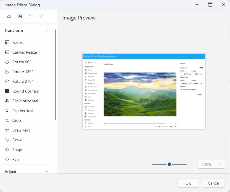 An image showing the image editor of RadRichTextBox for WPF