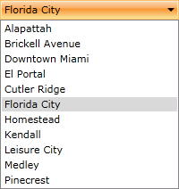 WPF RadComboBox Bound to XAML-Defined Data