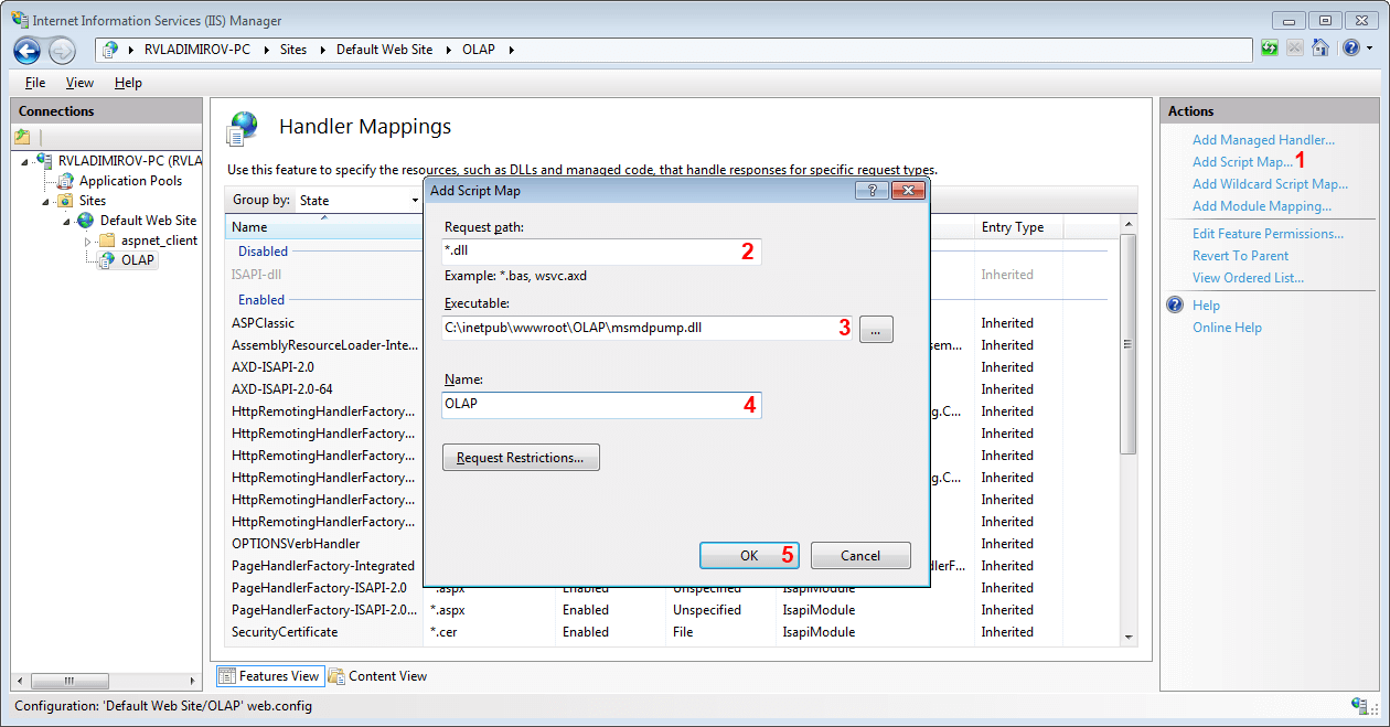 Rad Pivot Grid How To Set Http Access To Cube 7