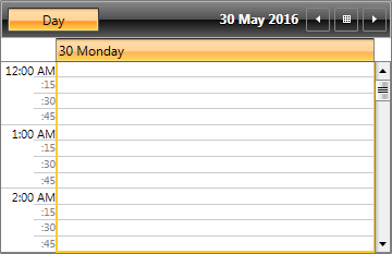 WPF RadScheduleView RadScheduleView with customized TimeRuler