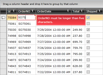 Telerik WPF DataGrid Validation 030