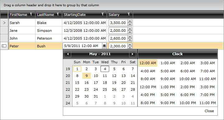 Telerik WPF DataGrid Cell Template Cell Edit Template