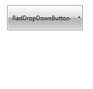 WPF RadButtons Slide Popup Animation