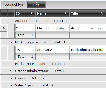Telerik WPF DataGrid Grouping GroupFooters 030