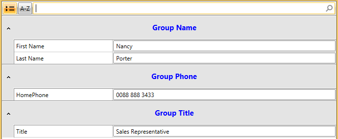 WPF RadPropertyGrid with Custom Group Style