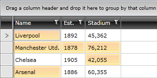 Telerik WPF DataGrid MixedSelection 3