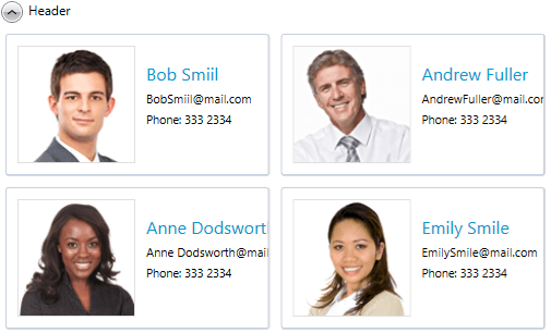 The RadExpander generated by the code in Example 2