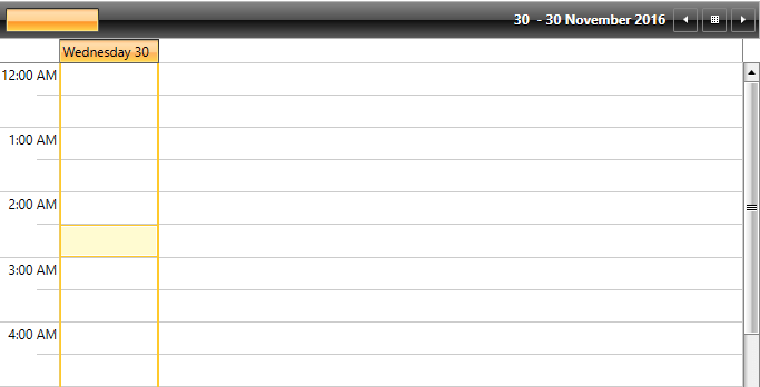 WPF RadScheduleView Formatted GroupHeader name