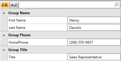 Rad Property Grid Grouping