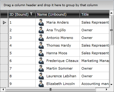 Telerik WPF DataGrid Bound Unbound Columns 2