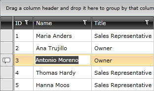 Telerik WPF DataGrid Editing Items 1
