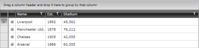 troubleshooting additional column Telerik WPF DataGrid fix2