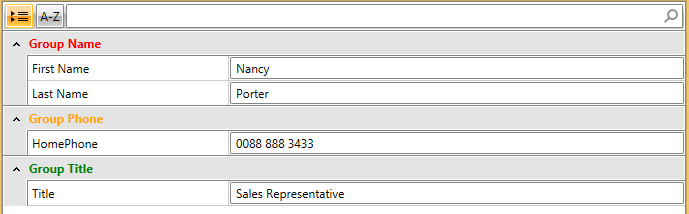 WPF RadPropertyGrid with Group Style Selector