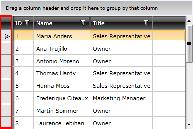 Telerik WPF DataGrid CustomizingRows 1