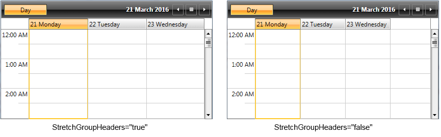 WPF RadScheduleView RadScheduleView with StretchGroupHeaders set