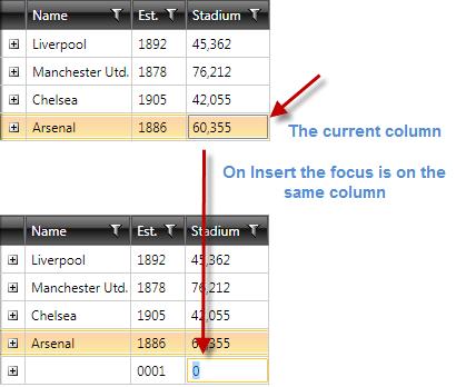 how to focus first cell Telerik WPF DataGrid