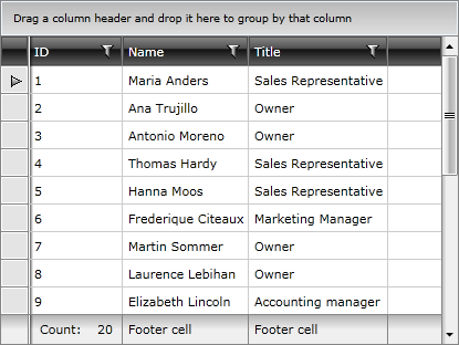 Telerik WPF DataGrid Column Footers 3