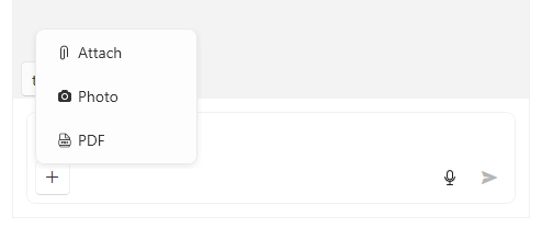 A picture showing a custom attach PDF file option in the more-options button