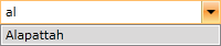WPF RadComboBox Items Only Starting with "al"