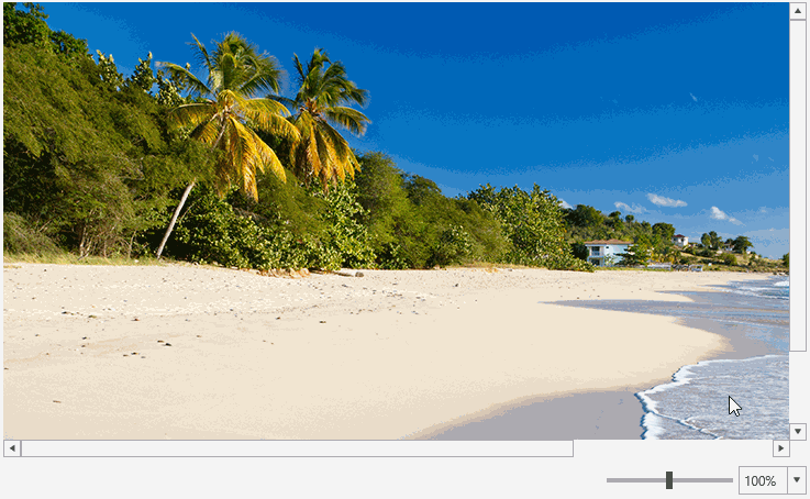 Default zoom capabilities