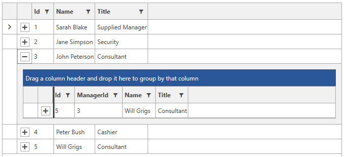 Telerik WPF DataGrid HiarachicalGrid SelfRefencingGrid 020
