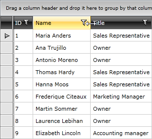 Telerik WPF DataGrid Resizing Columns 1