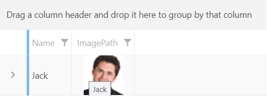 Tooltip of GridViewImageColumn bound to a property of the underlying data model