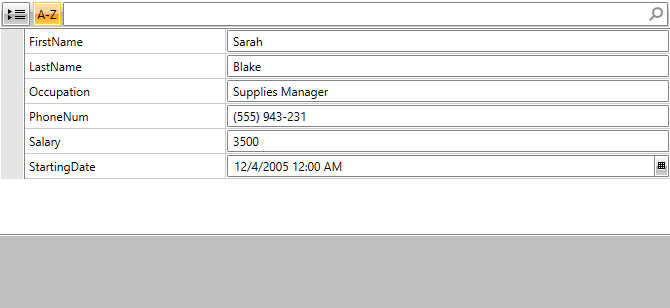 RadPropertyGrid bound to an Employee instance