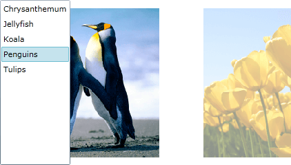 WPF RadTransitionControl Slide And Zoom Transition
