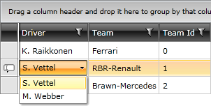 ComboBox Column of RadGridView - Telerik's WPF DataGrid