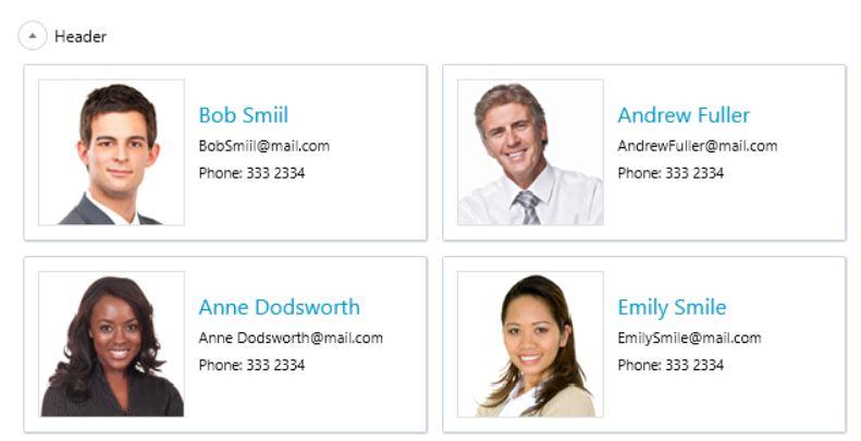 RadExpander with Windows8 theme