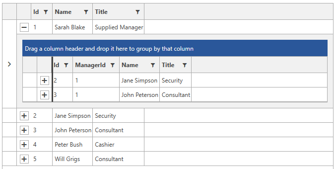 Telerik WPF DataGrid HiarachicalGrid SelfRefencingGrid 010