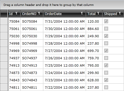 Telerik WPF DataGrid Validation 010