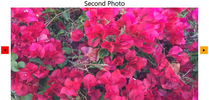 WPF RadSlideView with custom styles for the navigation buttons
