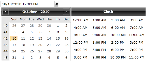 WPF RadDateTimePicker with Custom Selectable Start and End Date