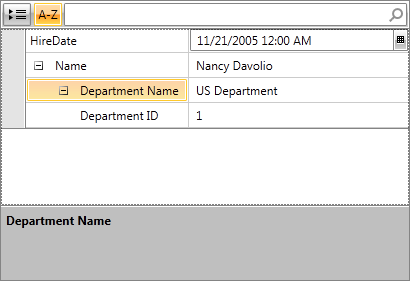 Rad Property Grid Unboud Mode 2