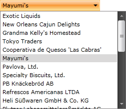 WPF RadComboBox with Selected Item