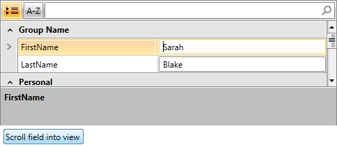 Rad Property Grid Scroll Grouped 1
