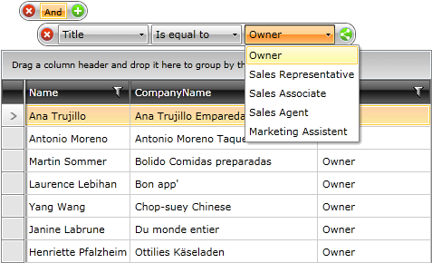 WPF RadDataFilter with Custom Filter Editor