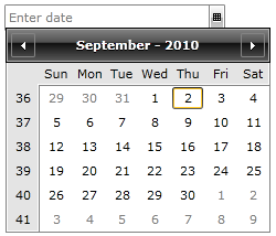 WPF RadDateTimePicker DatePicker InputMode