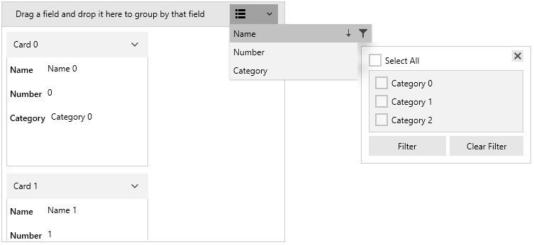 WPF RadCardView Hidden the field filters