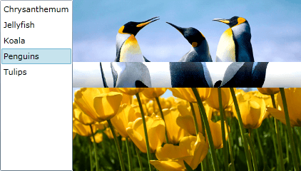 WPF RadTransitionControl Roll Transition