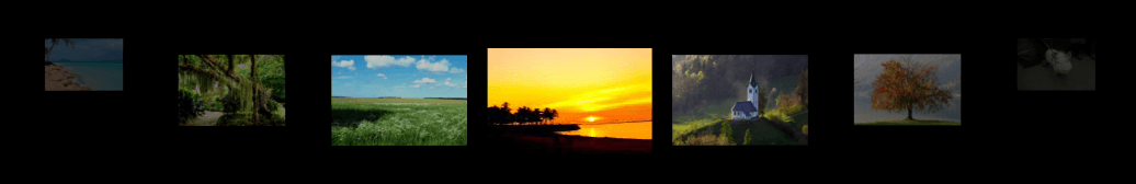 WPF RadCarousel RadCarouselPanel Item Movement after MoveBy