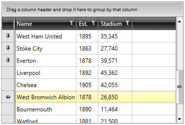 Telerik WPF DataGrid-pinned-rows-1