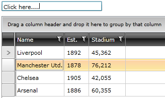 Telerik WPF DataGrid Selection UnfocusedState 02