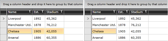 Telerik WPF DataGrid MixedSelection 4