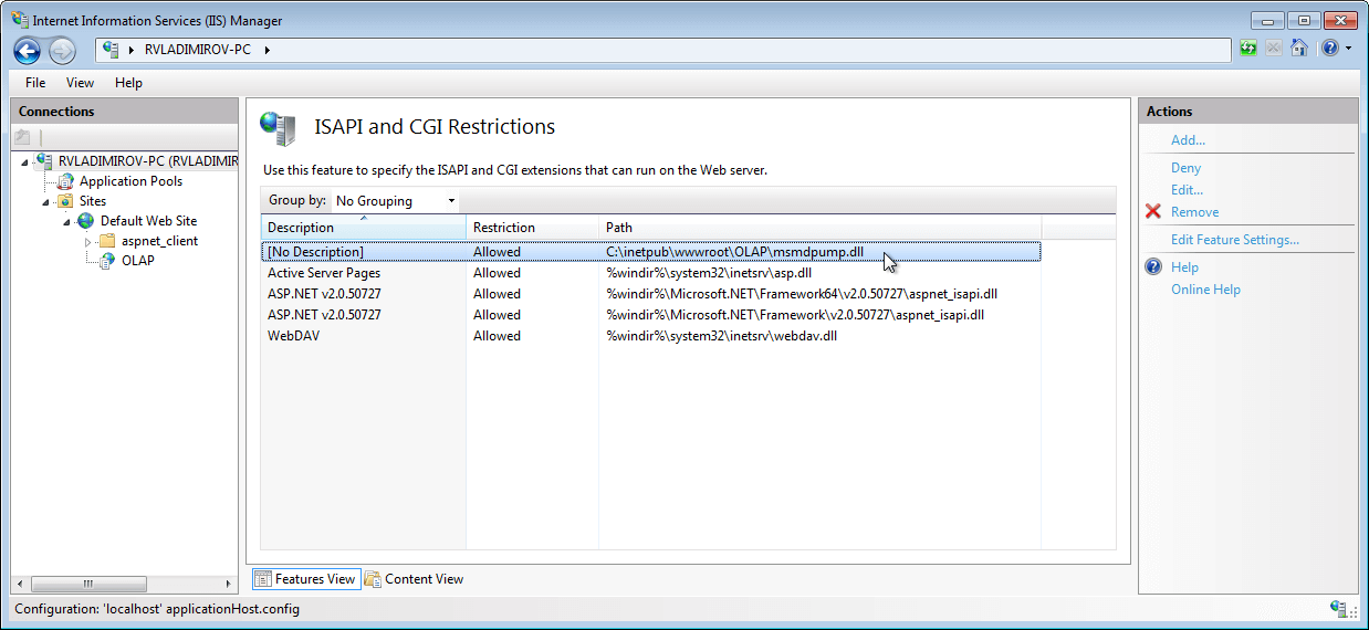 Rad Pivot Grid How To Set Http Access To Cube 10
