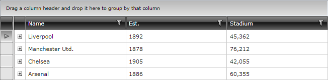 troubleshooting additional column Telerik WPF DataGrid fix1