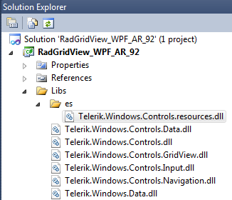 Telerik WPF DataGrid localization defaultlanguage3png