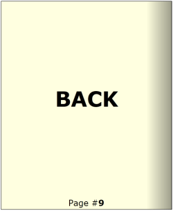 WPF RadBook Custom Template Back